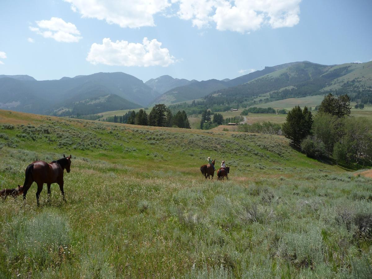 Mcdonald'S Ranch Lodge การ์ดีเนอร์ ภายนอก รูปภาพ